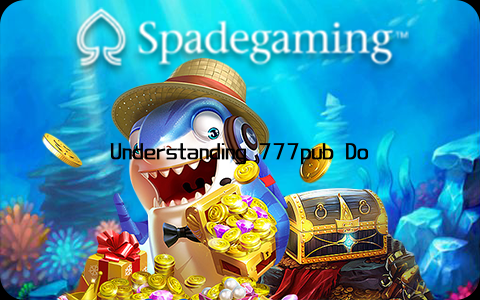 Understanding 777pub Download